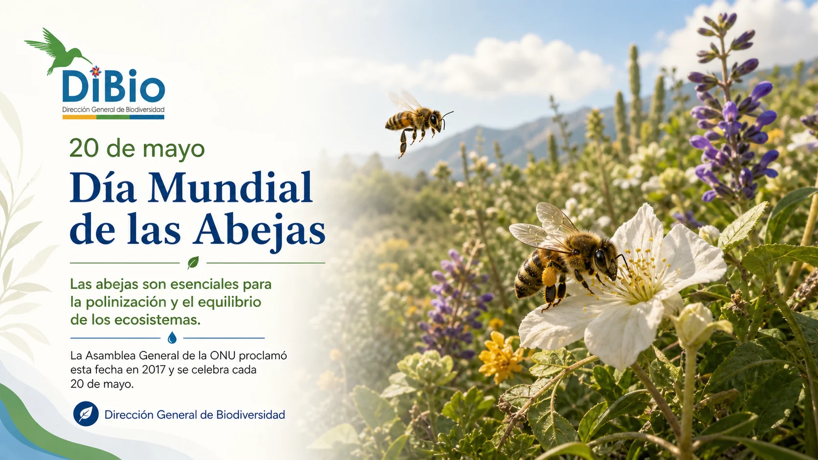 Día Mundial de las Abejas